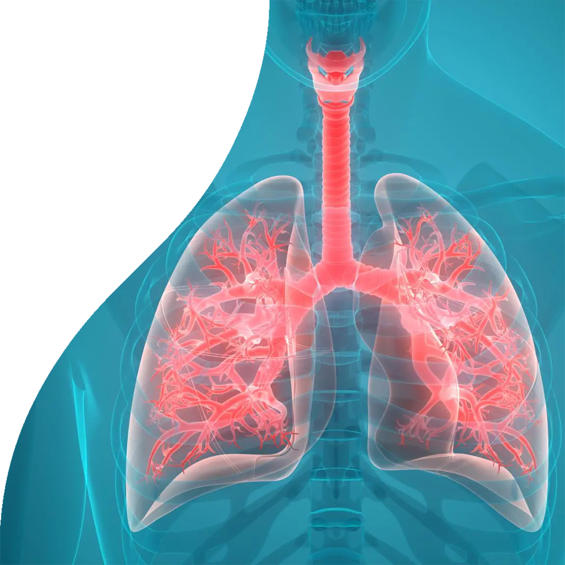 Prävention von nosokomialer Pneumonie (HAP)